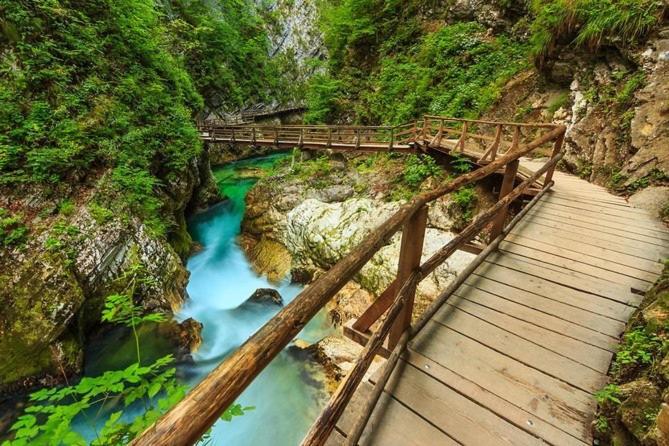 Apartma Ela Zgornje Gorje Bagian luar foto